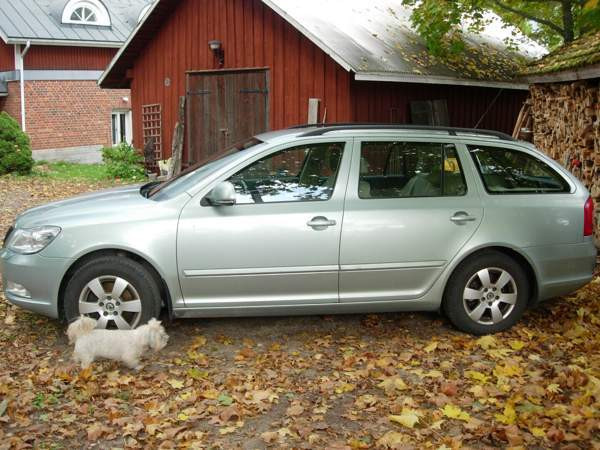 Skoda Octavia Espoo - photo 4