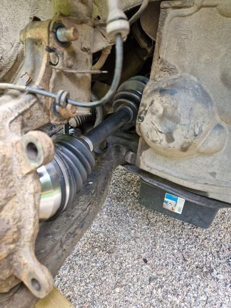 Nissan X-Trail Turtkul - valokuva 8