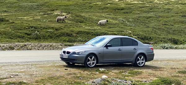BMW 530 Raahe - valokuva 5