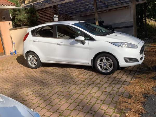 Ford Fiesta Раума - изображение 5