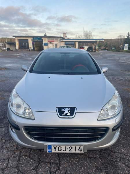 Peugeot 407 Sarov - photo 2