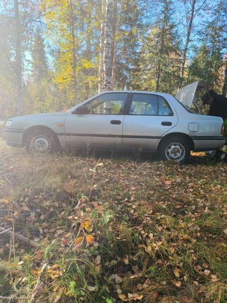 Nissan Sunny Кифри - изображение 3