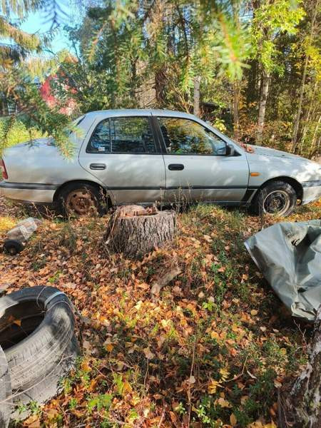 Nissan Sunny Кифри - изображение 2