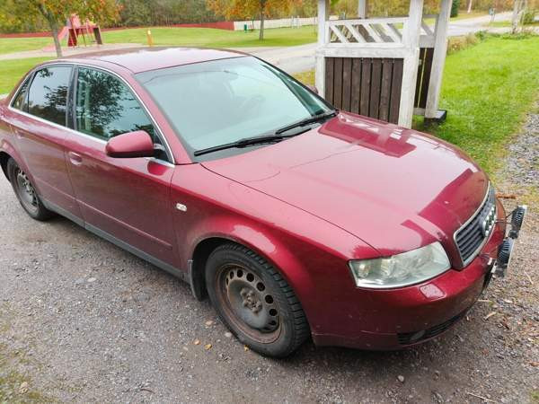 Audi A4 Миккели - изображение 4