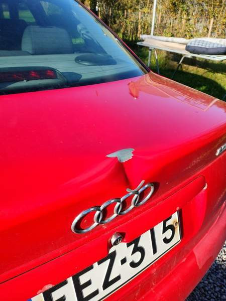 Audi A4 Turtkul - photo 7