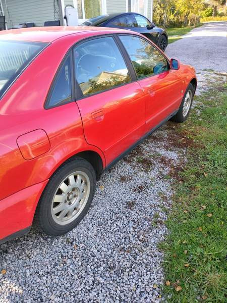 Audi A4 Turtkul - photo 8