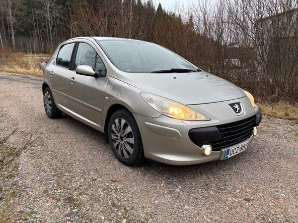 Peugeot 307 Glebychevo – foto 2