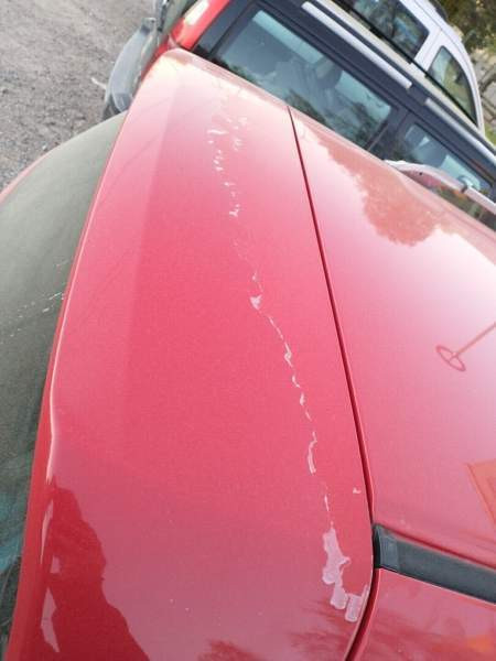 Honda Accord Punkalaidun - photo 3