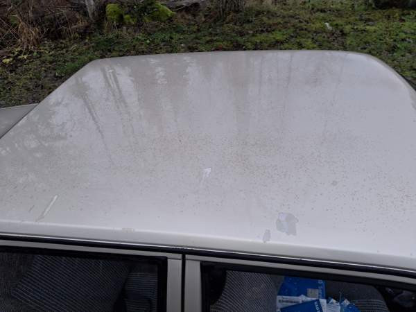 Volkswagen Polo Хювинкяя - изображение 3