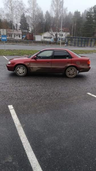 Toyota Corolla Punkalaidun - photo 4