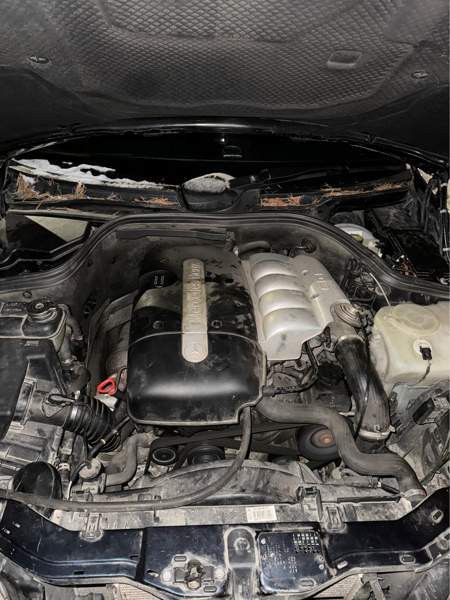 Mercedes-Benz 220 Куусамо - изображение 2