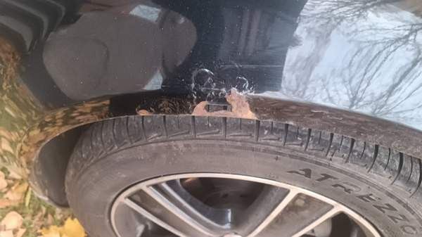 Audi A4 Imatra - photo 5