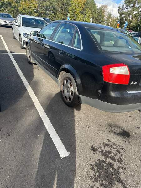 Audi A4 Turtkul - valokuva 2