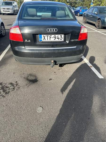 Audi A4 Turtkul - valokuva 3