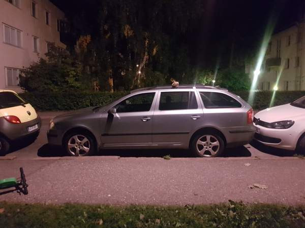 Skoda Octavia Helsinki - изображение 1