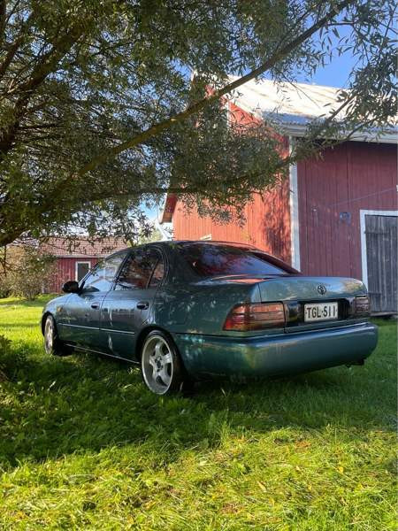 Toyota Corolla Liljendal - photo 4