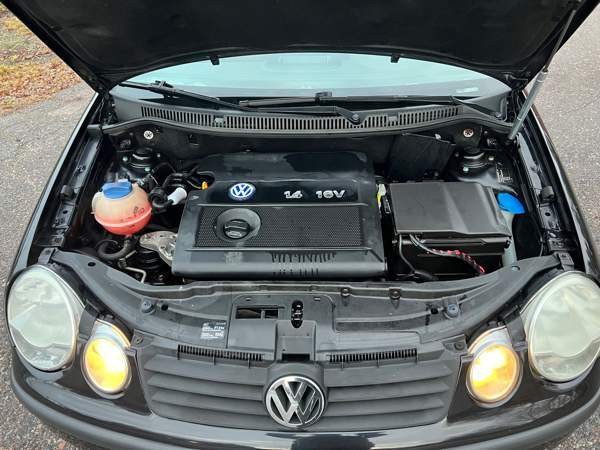 Volkswagen Polo Raasepori - valokuva 7
