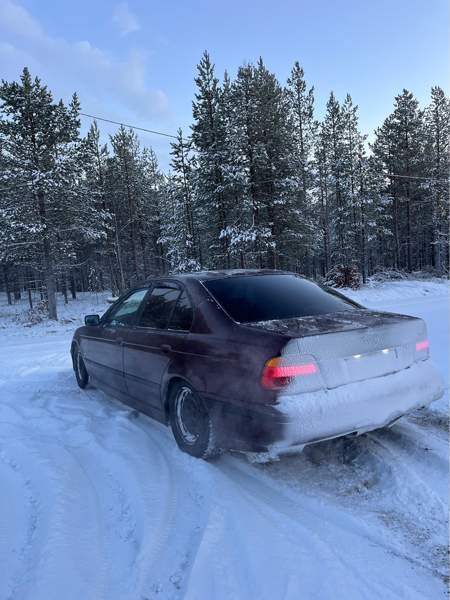 BMW 520 Rovaniemi - valokuva 4