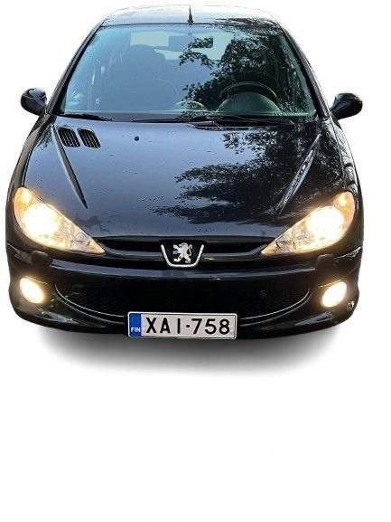 Peugeot 206 Райсио - изображение 2