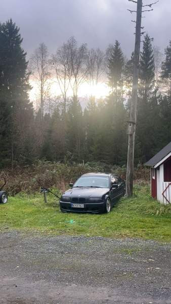 BMW 318 Muhos - valokuva 5