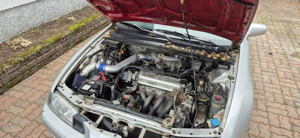 Honda Prelude Лаппенранта - изображение 7