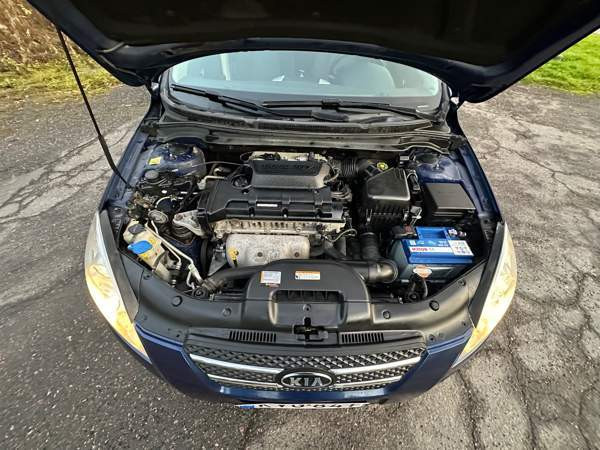 Kia Ceed Glebychevo - valokuva 8