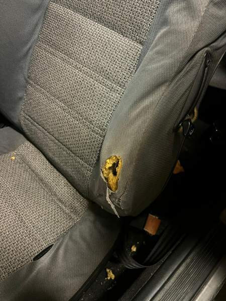 Honda Civic Kuopio - valokuva 6