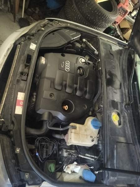 Audi A4 Chuvashskaya Respublika - valokuva 2