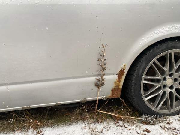 Volkswagen Transporter Jyväskylä - valokuva 5