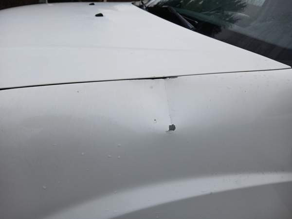 Fiat Doblo Tohmajärvi – foto 8