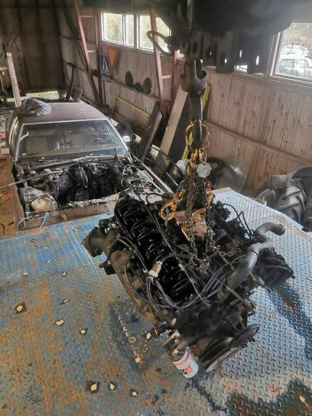 Cadillac Fleetwood Pertunmaa - photo 2