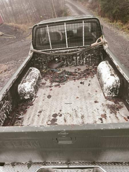 Nissan King Cab Mikkeli - valokuva 5