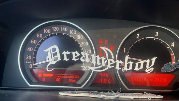 BMW 730 Хамина - изображение 8