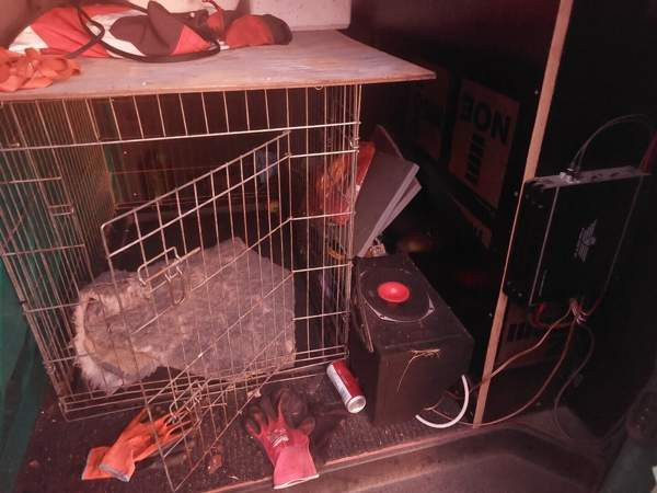 Volkswagen Transporter Lieksa – foto 6