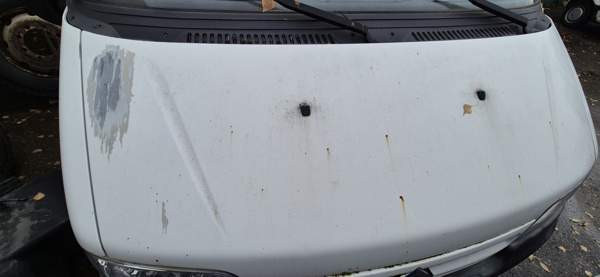 Fiat Ducato Лохья - изображение 5