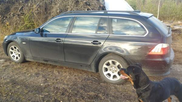 BMW 525 Alavus - photo 4