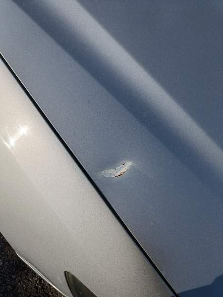 Honda Accord Raahe - valokuva 4