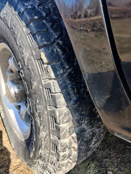 Nissan Pickup Tornio - valokuva 8