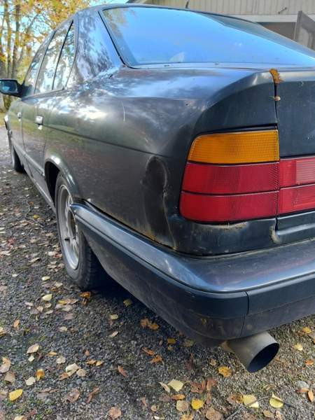 BMW 535 Luga - valokuva 3