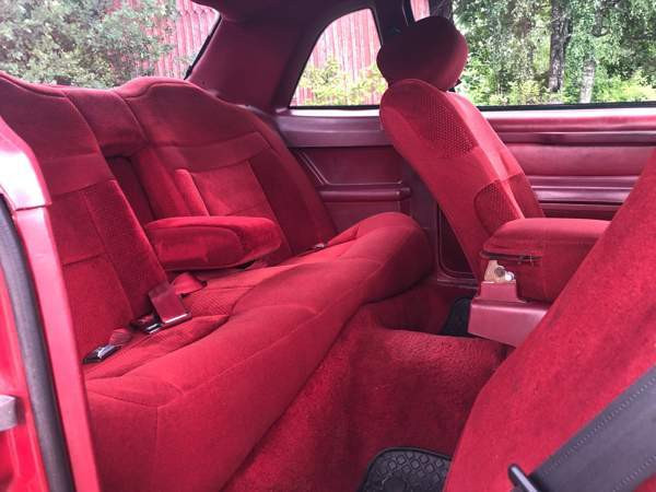 Ford Thunderbird Raasepori - valokuva 8