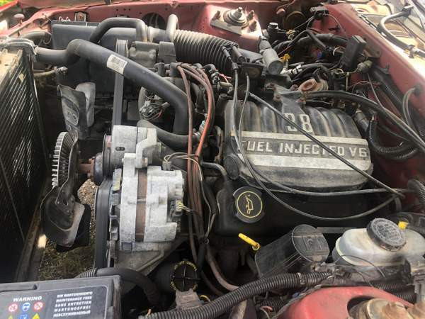 Ford Thunderbird Raasepori - valokuva 6