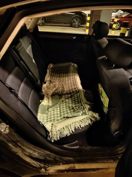 Audi A6 Helsinki - изображение 8