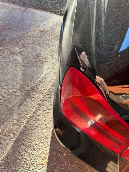 BMW 318 Форсса - изображение 6