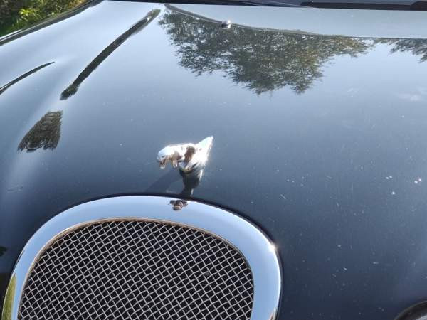 Jaguar S-Type Tuusula - photo 5