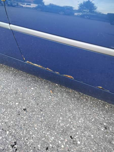 BMW 325 Glebychevo - valokuva 7