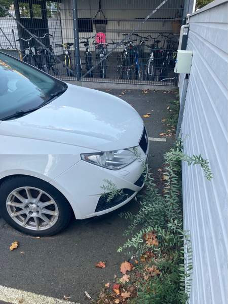 Seat Ibiza Turtkul – foto 2