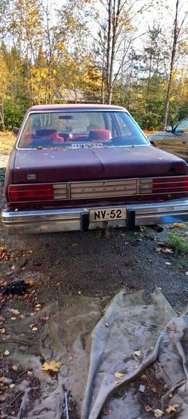 Dodge Aspen Luga - valokuva 3