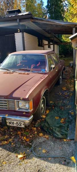 Dodge Aspen Luga - valokuva 2