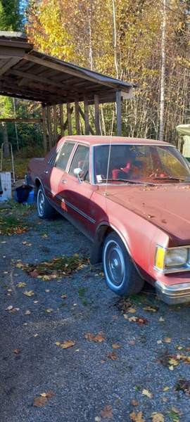 Dodge Aspen Luga - valokuva 6