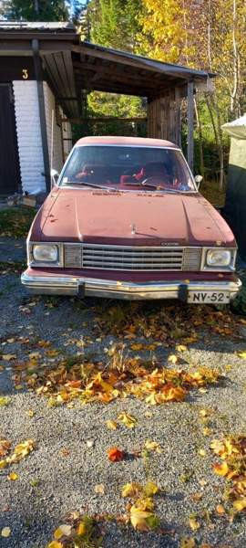 Dodge Aspen Luga - valokuva 1